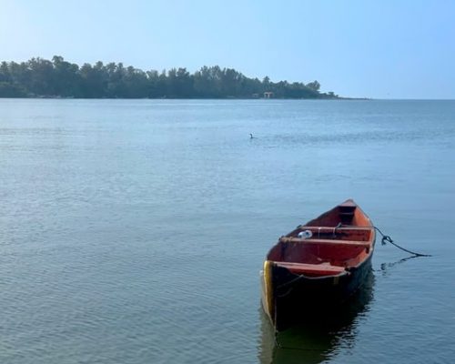 alleppey1