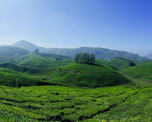 munnar1