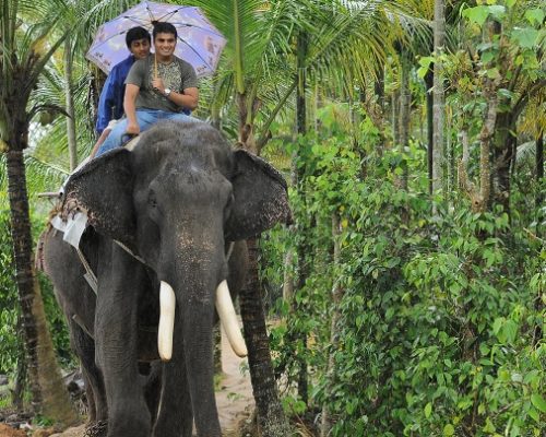 thekkady17